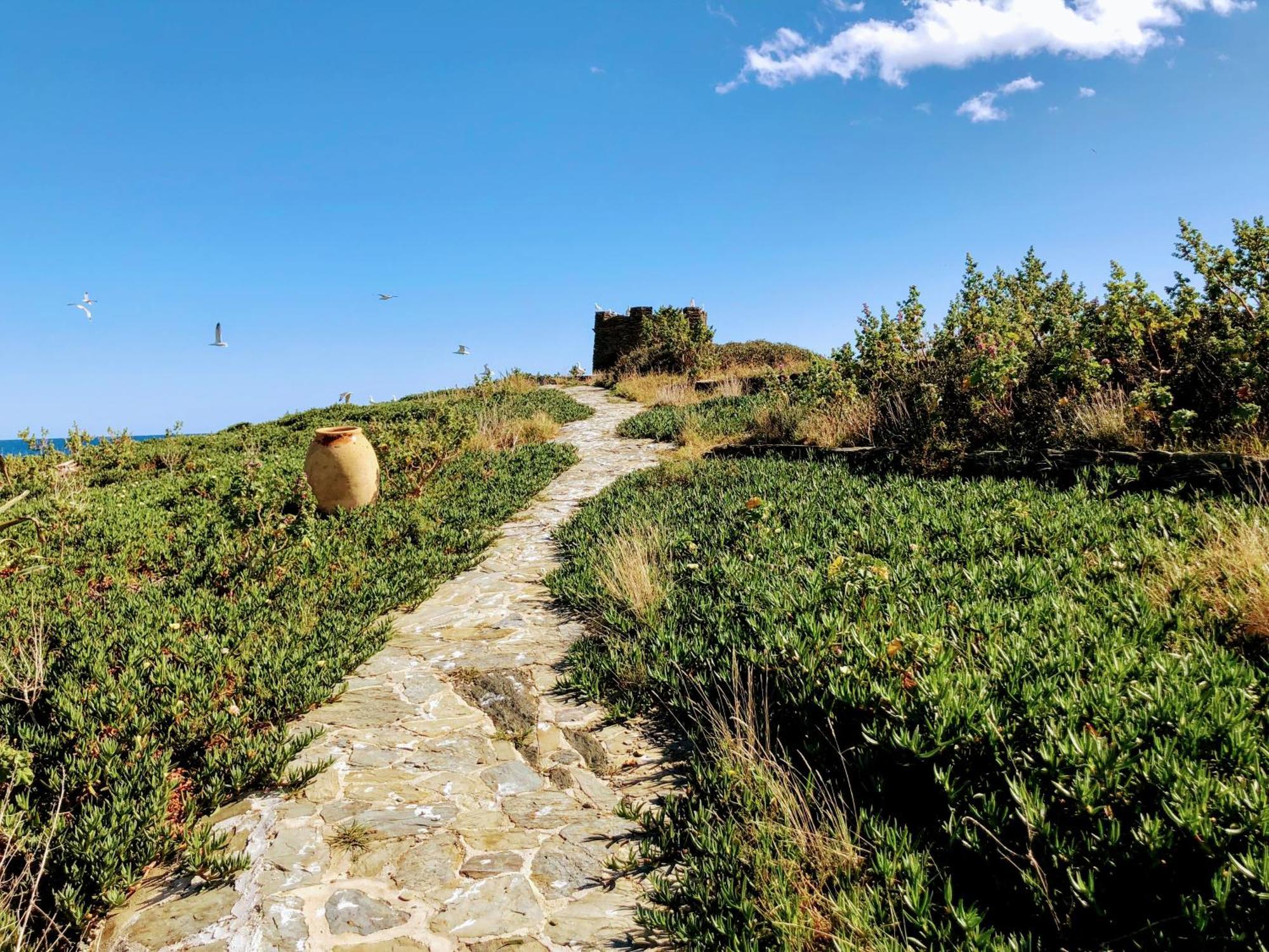 Isla Privada en Cadaqués de ensueño con 11 habitaciones dobles con baño privado y piscina Extérieur photo