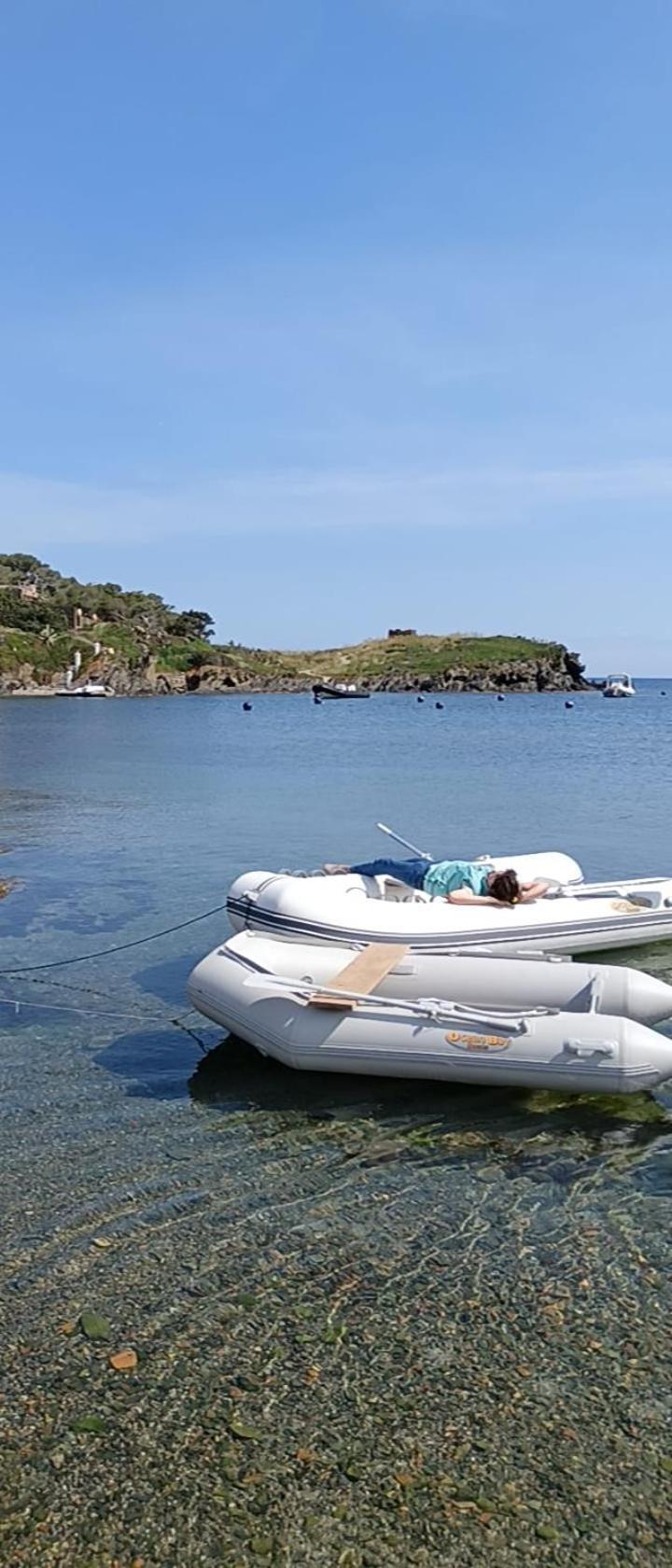 Isla Privada en Cadaqués de ensueño con 11 habitaciones dobles con baño privado y piscina Extérieur photo