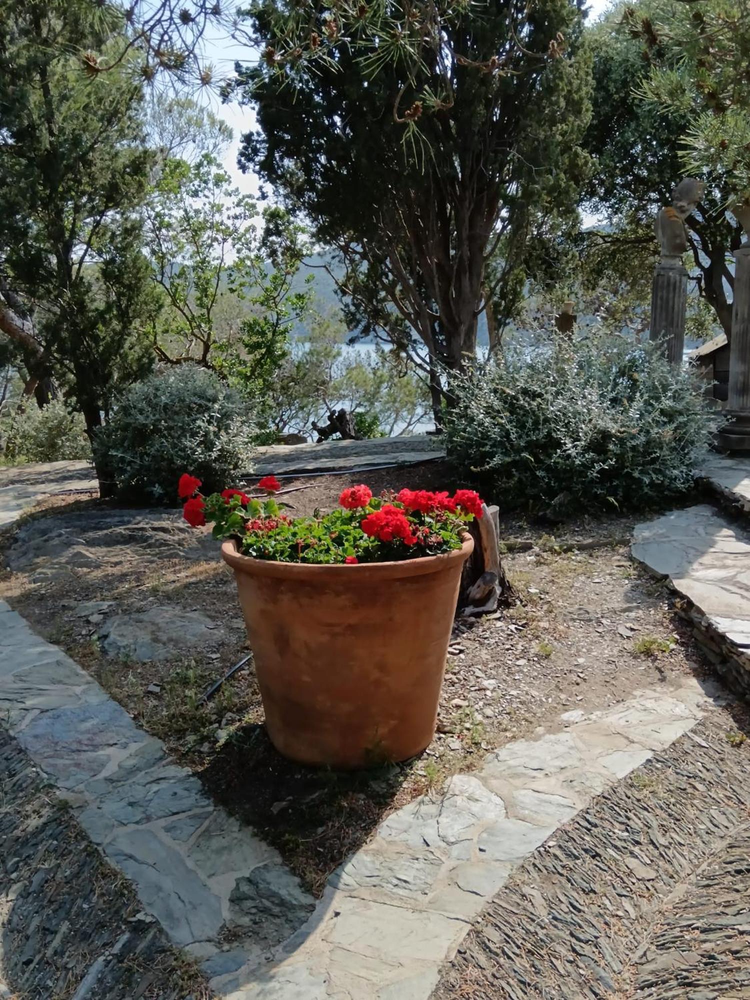 Isla Privada en Cadaqués de ensueño con 11 habitaciones dobles con baño privado y piscina Extérieur photo