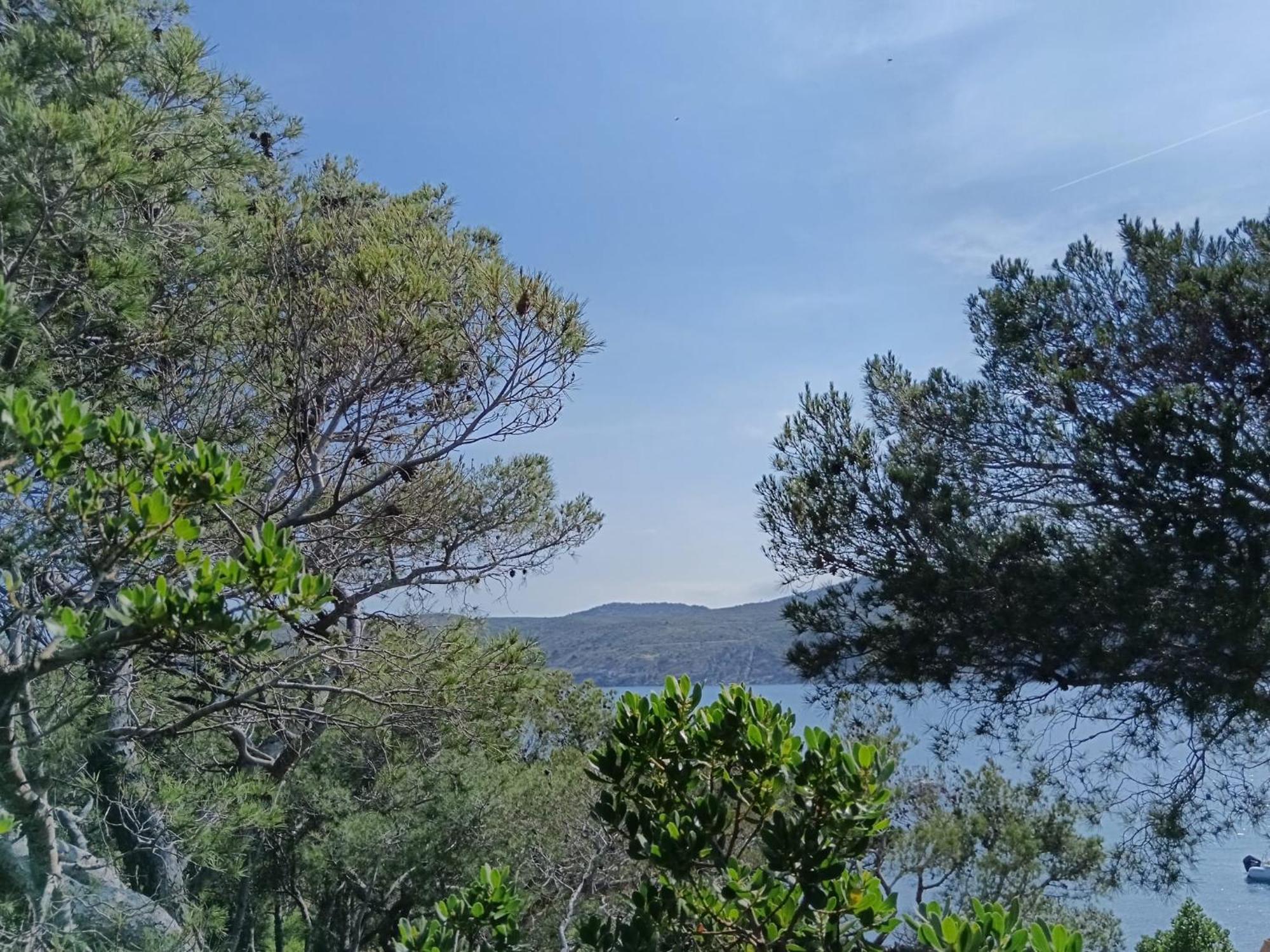 Isla Privada en Cadaqués de ensueño con 11 habitaciones dobles con baño privado y piscina Extérieur photo